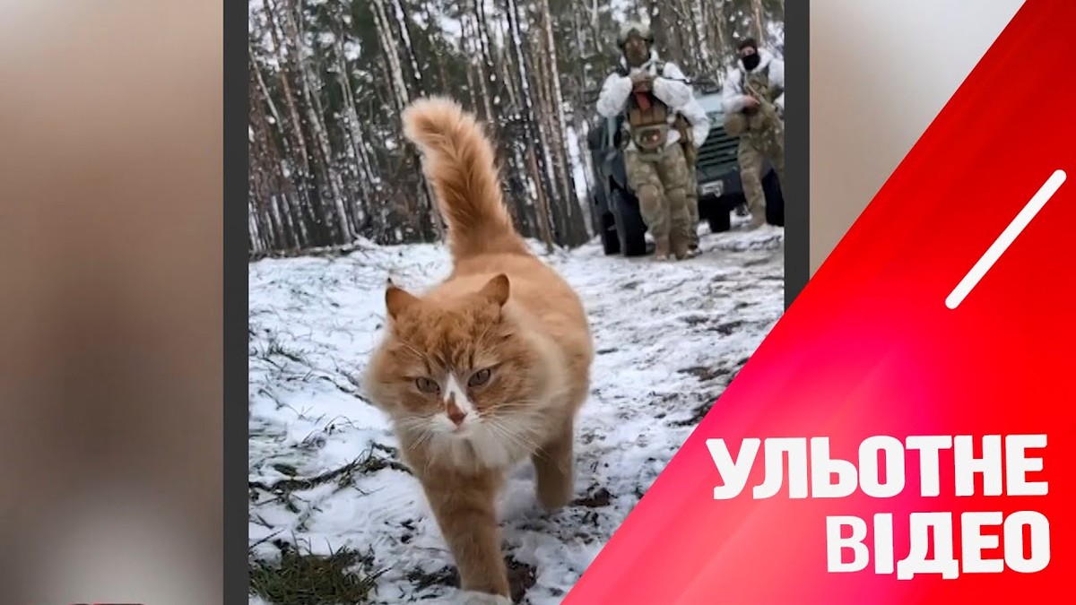Створення затишного освітлення